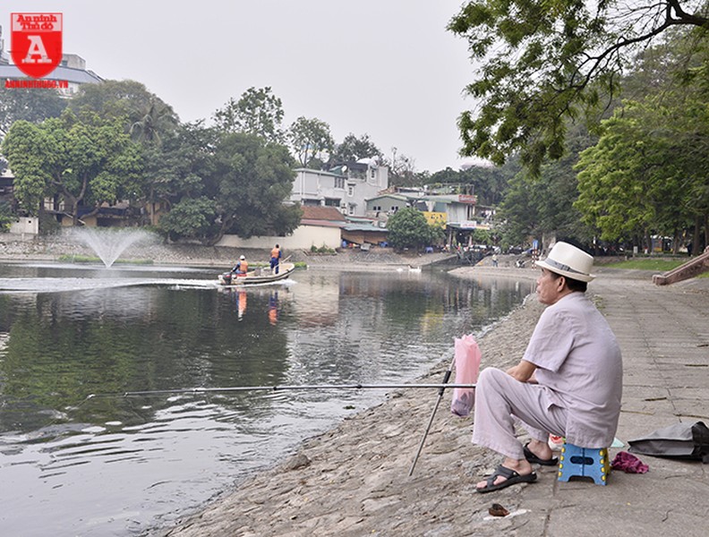 Đàn thiên nga ở hồ Thiền Quang vẫn có nguy cơ bị thương do lưỡi câu